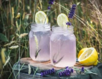 Citrinų ir levandų limonadas – Lemon and Lavender Lemonade (kokteilio receptas)