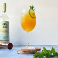 Aistros vaisių spritzas – Passionfruit Spritz (kokteilio receptas)